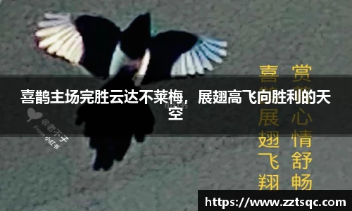 喜鹊主场完胜云达不莱梅，展翅高飞向胜利的天空