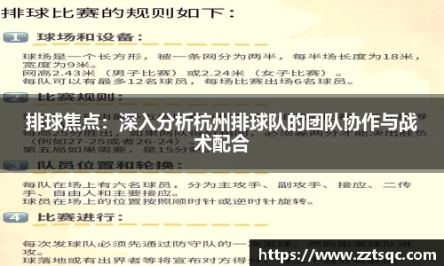 排球焦点：深入分析杭州排球队的团队协作与战术配合