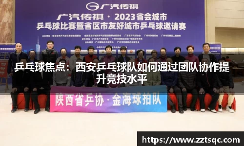 乒乓球焦点：西安乒乓球队如何通过团队协作提升竞技水平