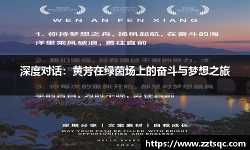 yy易游